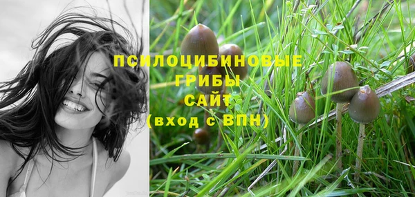 дживик Арсеньев