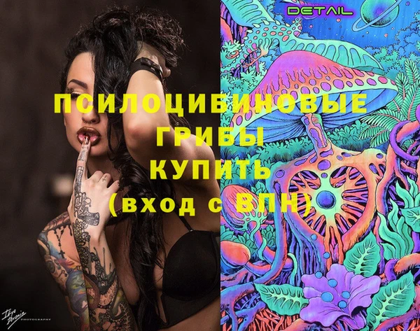 дживик Арсеньев