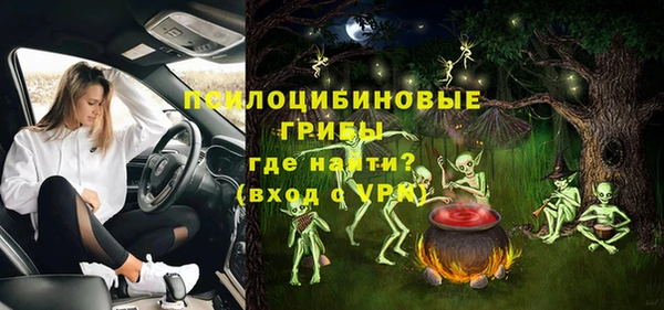 дживик Арсеньев