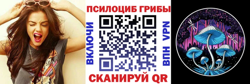 купить наркоту  Бирюсинск  Псилоцибиновые грибы прущие грибы 
